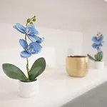 Nonna Apartment